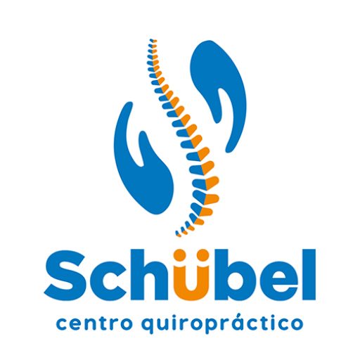 Schubel Capacitacion